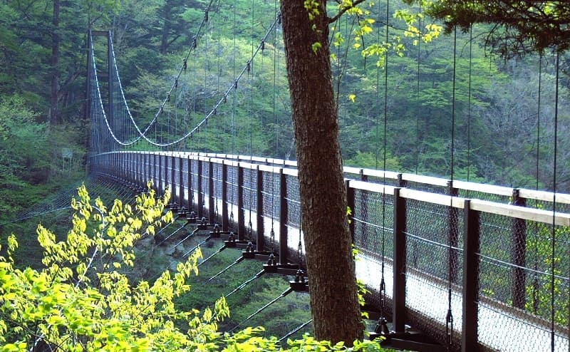 回顧の吊橋